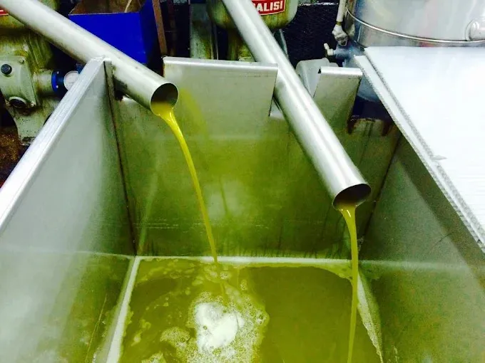 Παράδοση ελαιολάδου